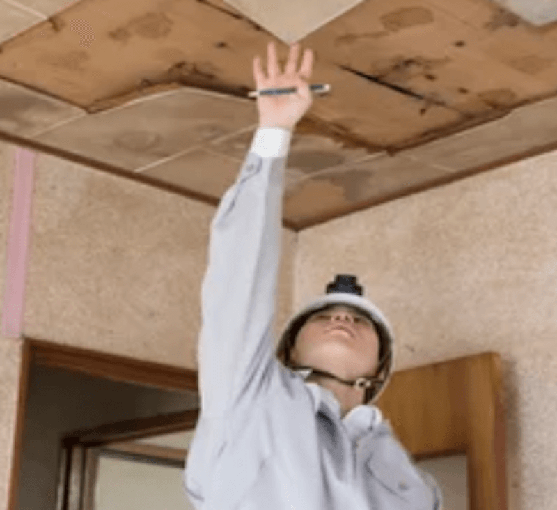 雨漏り
