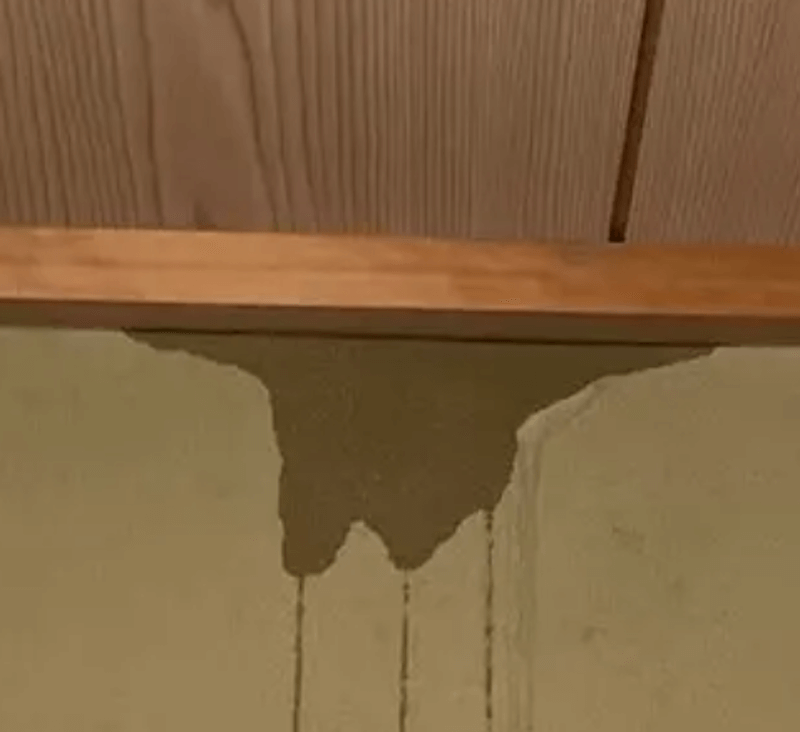 雨漏り箇所